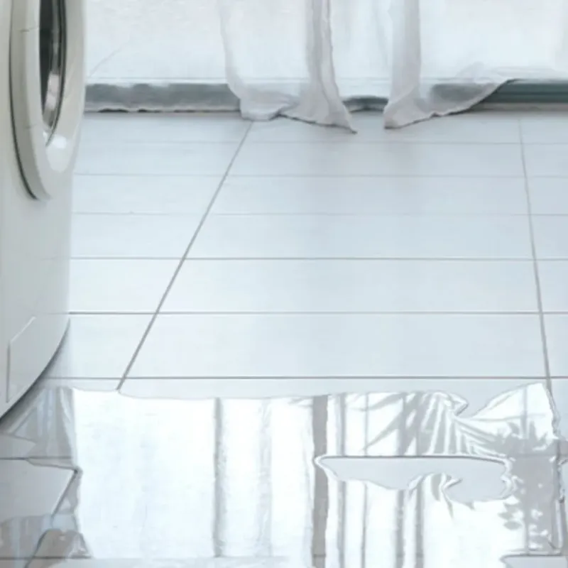 Appliance Leak Cleanup in Westmoreland County, VA