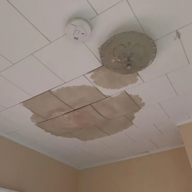 Ceiling Water Damage Repair in Westmoreland County, VA