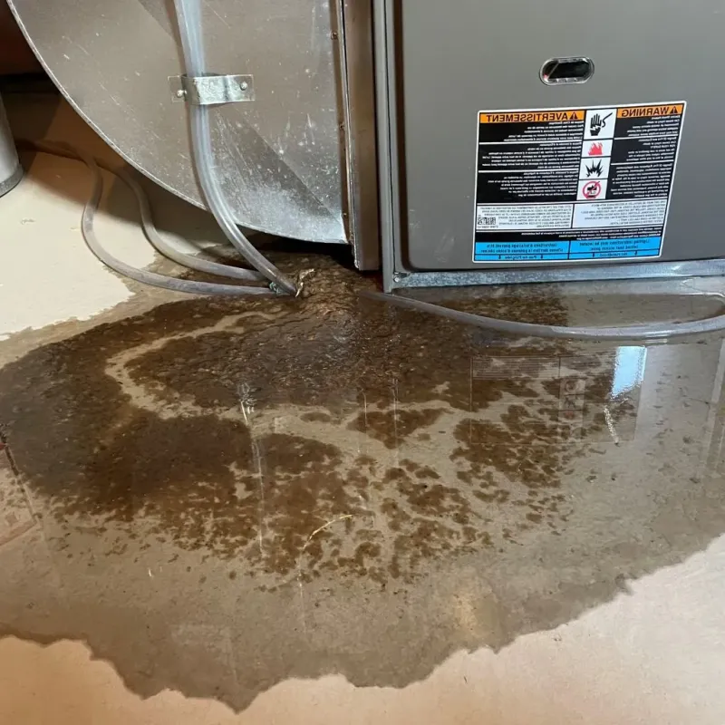 Pipe Burst and Leak Restoration in Westmoreland County, VA